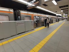 Ђ낳̑scnS ؖ{wiؐEjւ̓eʐ^4