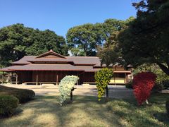 񂳂̗{H쎺ւ̓eʐ^2