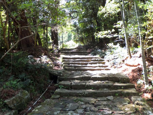 �ĊO�����ɂ����Ώ�_�F��Ó��@����