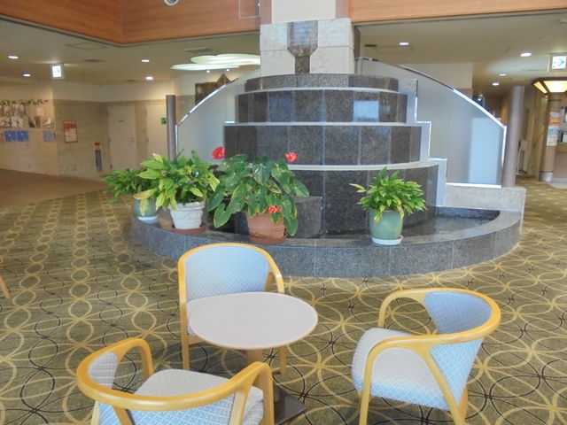 ���r�[�@�L���Ă������_�����̓��h�@��]�{��