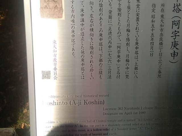 �g���L�`����̉_�����̓��e�ʐ^4