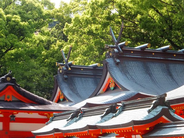 vw_炵A{Ƒʋ{͒ǂł܂B_F쑬ʑ