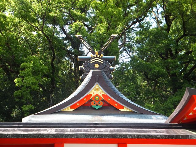 {̐؂̐[͓킬Bʋ{͊O킬ɂȂĂ܂B_F쑬ʑ