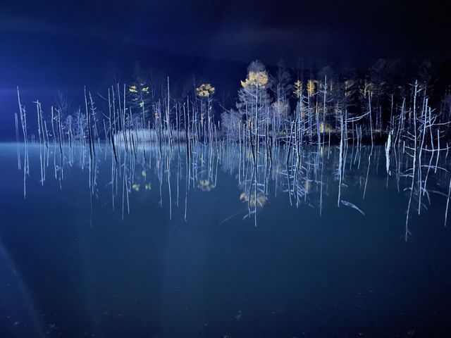 ���C�g�A�b�v�̐��r�A�_��I_���r