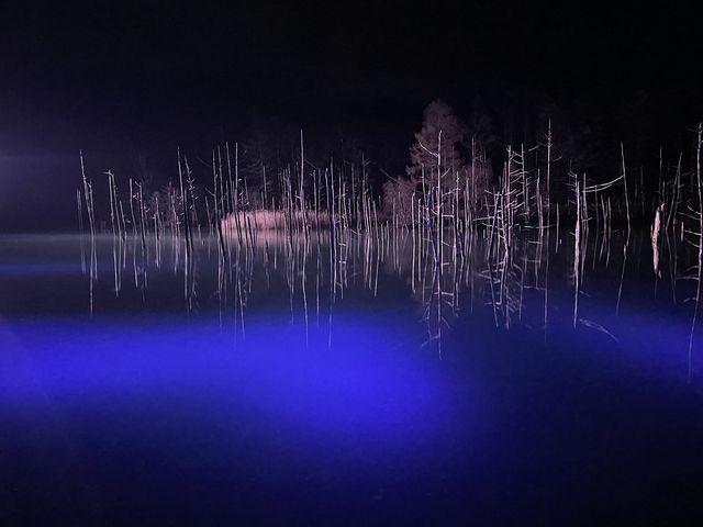 ���C�g�A�b�v�͂܂��ɁA�_�鐫�������܂�_���r