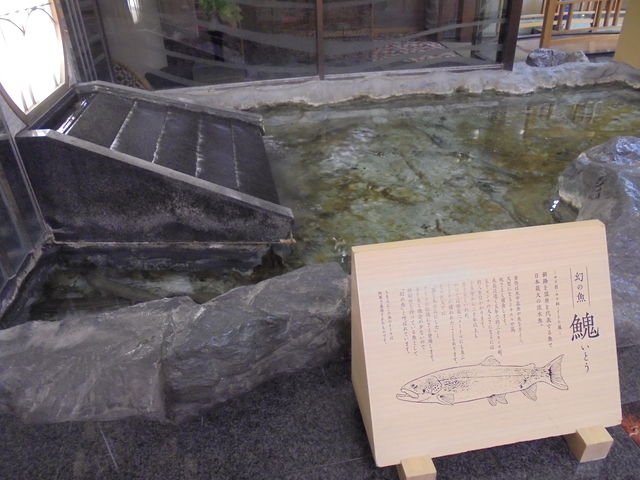 ̂Ƃ@ٓł̗{B_Β߉ECOX