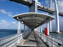 ������񂳂�̐V���勴�ւ̓��e�ʐ^1