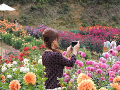 �������̐��������_��ւ̓��e�ʐ^1