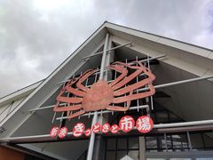 ������񂳂�̐V�������Ƃ��Ǝs��ւ̓��e�ʐ^1