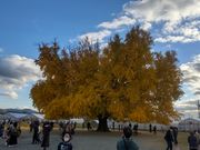 낽񂳂̑ȃ傢傤̓eʐ^1