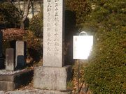 �g���L�`����̉_�����̓��e�ʐ^3