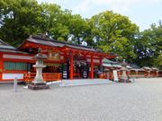 ڂ炳̌F쑬ʑЂ̓eʐ^1