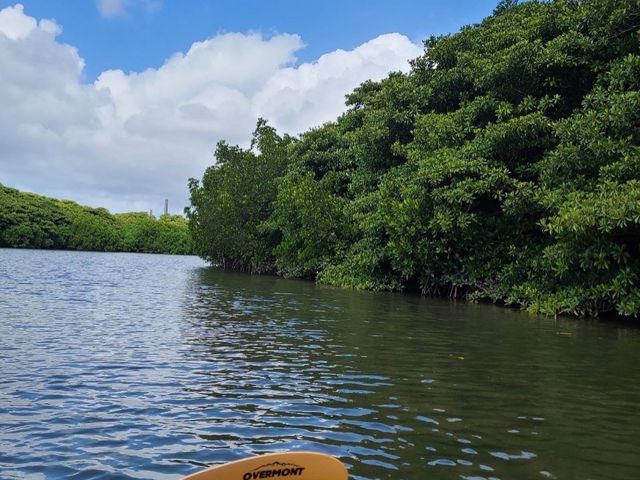 �J�k�[_�Ί_���J�k�[�c�A�[�E�r��