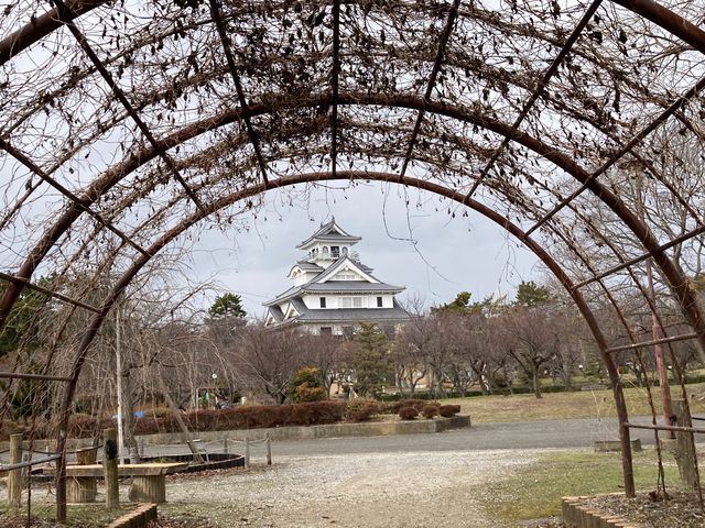 �L����_�L����