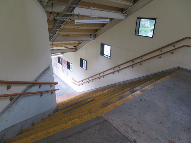 ��q����̌��֌��̏�q�w�@�}�Ȓ����K�i_�l�C�̑ݐؕ��C�ƒY�ΎR�������̏h�@�C����