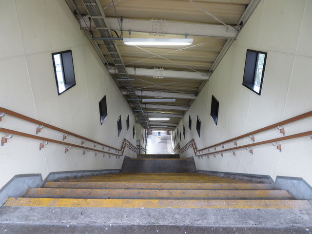 ��q����̌��֌��̏�q�w�@�}�Ȓ����K�i_�l�C�̑ݐؕ��C�ƒY�ΎR�������̏h�@�C����