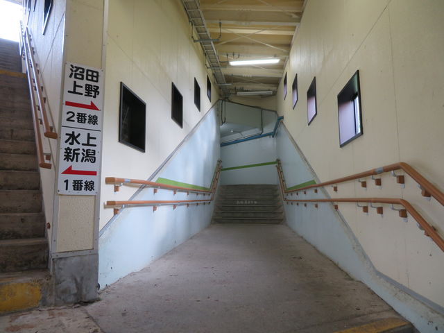 ��q����̌��֌��̏�q�w�@�}�Ȓ����K�i_�l�C�̑ݐؕ��C�ƒY�ΎR�������̏h�@�C����