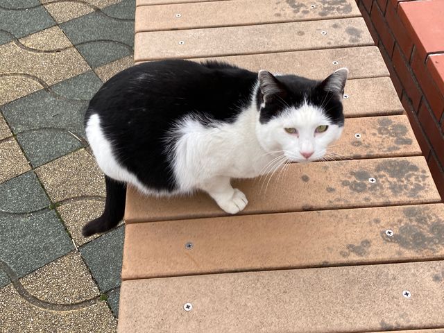 �L����_�L����