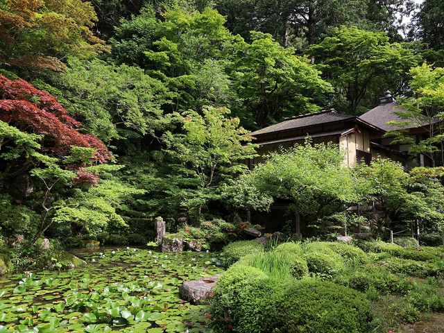 【金剛輪寺庭園（明寿院）】アクセス・営業時間・料金情報 - じゃらんnet