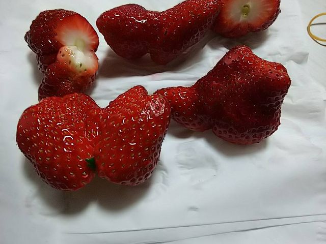 ������ėL��ł����H_���t䕉�