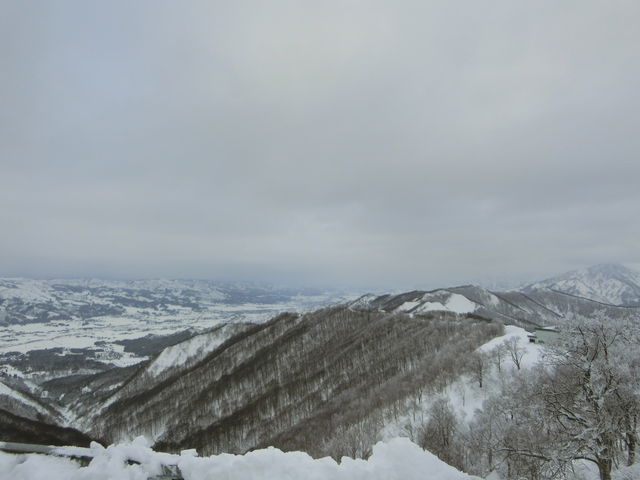 �����R�́A�_�ŉB��Ă��܂��Ă��܂����B_�⌴�X�L�[��