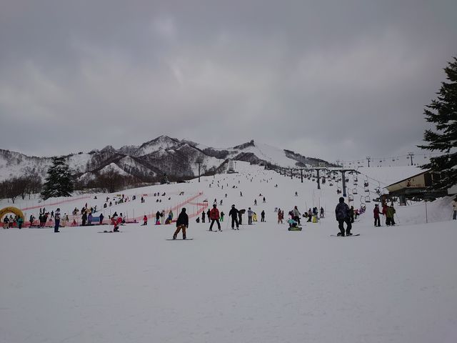 �Q�����f�͉��ɍL���ɎΖ�_�⌴�X�L�[��