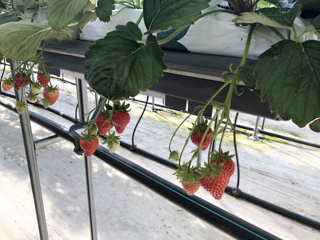 �����������Ȃ�����_�݂̂�_��