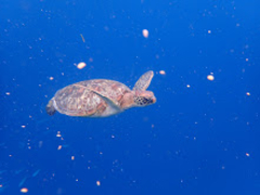 Billy̓ʓ_CuTCgւ̓eʐ^1