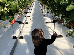 yukuñAOX^[XyVւ̓eʐ^1