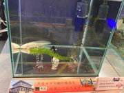 EbL[̍ǈjف@ǃKXق̓eʐ^1