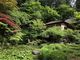 Yanwenliさんの金剛輪寺庭園（明寿院）の投稿写真3