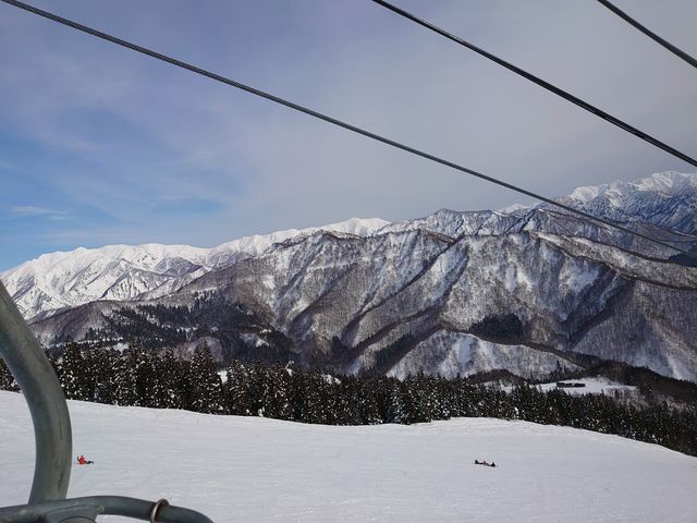 ���t�g����̒��߂��ǂ��ł�_�⌴