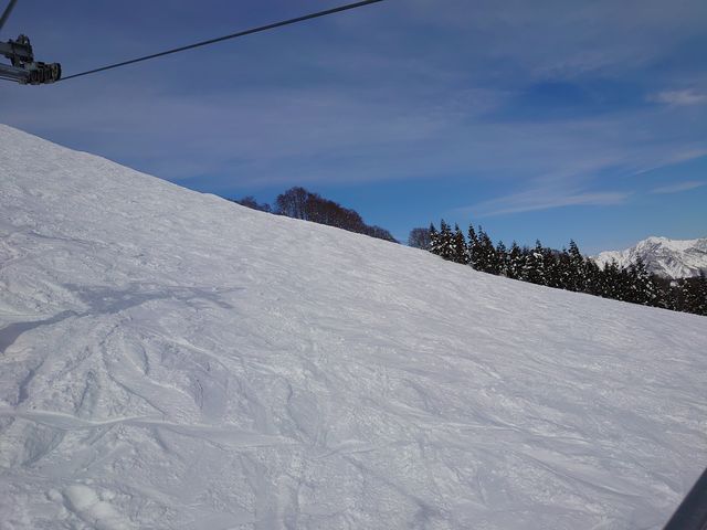 �R���֌������N���b�g���t�g����̒���_�⌴