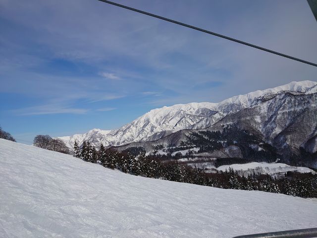 �㋉�҃R�[�X������܂�_�⌴