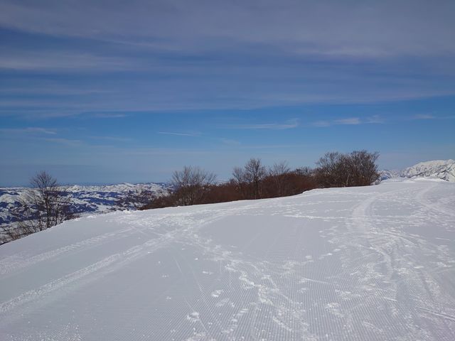 �R�����甽�Α��̎R��������_�⌴