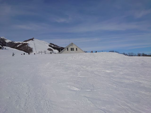 �ɂ₩�ȎΖʂŊ���₷���B
���S�҂ɂ͂��X�X��_�⌴