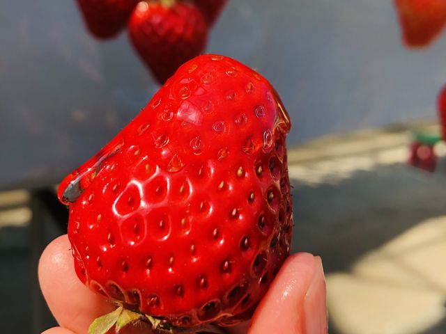 �͂��݂Ƃ���(^^)_�͖{�t�@�[����������