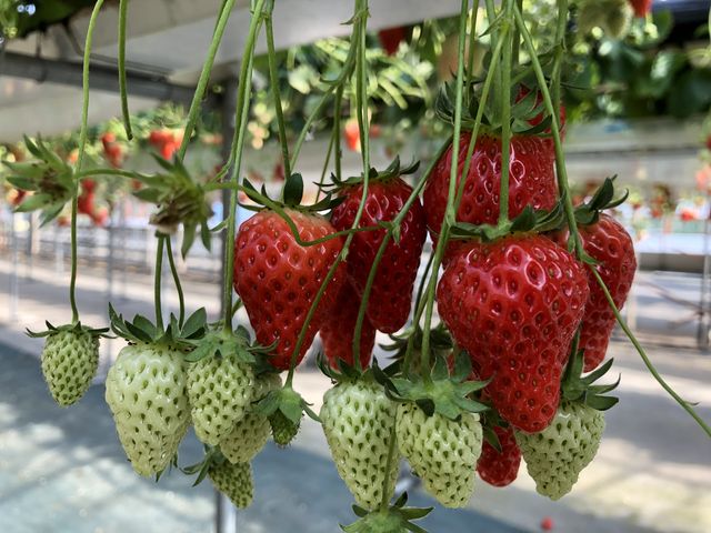 �^���ԂŔ�������������_��̌���