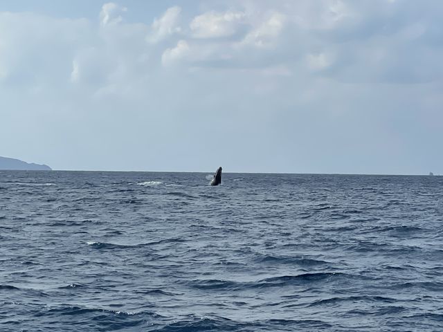 �W�����v������N�W��_�_�C�r���O�V���b�v�@�l�C�e�B�u�V�[����