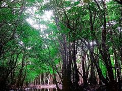 ��������񂳂��villa���\�c�A�[�i���B�����\�c�A�[�j�ւ̓��e�ʐ^1