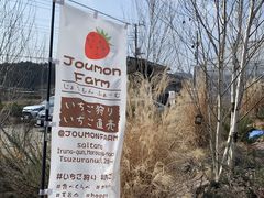 qЂ낳joumonfarmi傤ӂ[ށjւ̓eʐ^2