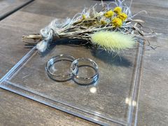 ��񂲂���̃A�J�l�X�@�����ւ̓��e�ʐ^1