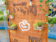 Ȃ낳̐V񂾔_ȉւ̓eʐ^1