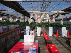 ku-suga021724̃zeBL˂ւ̓eʐ^1