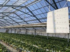 �݂̂���̑唩���Y���������ւ̓��e�ʐ^1