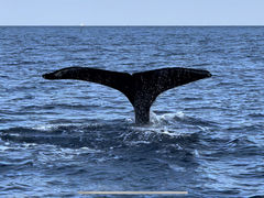 񂳂NEWSߔeXւ̓eʐ^1