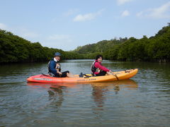 dstower1-16b2̂΂鎩Rmւ̓eʐ^1