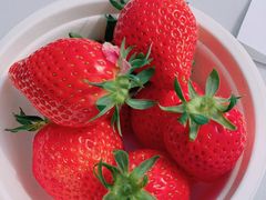 kohakũXgx[BbWւ̓eʐ^1