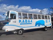 ̎R΂̃Jo poX̓eʐ^1