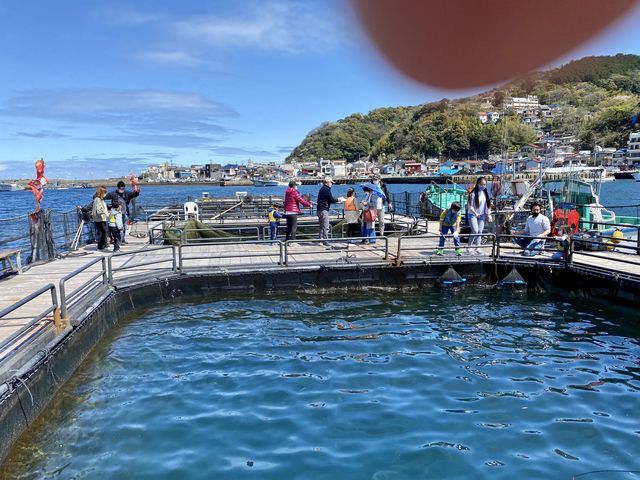 ��O���A�W�̐����ŁA�����^�C�̐�����_�C��ނ�x�����]